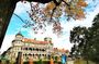 Private tour of Shimla city & Kufri
