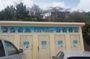 Western snorkel & swim Trip
