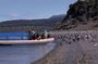 Ushuaia: Penguins Tour by boats from Puerto Almanza with Snack