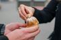 Strasbourg Christmas Market Tour with Tastings