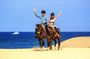 Cabo Horseback Riding on Migriño Beach