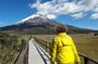 Cotopaxi Volcano full day tour with all the entrances, every day
