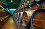 Small Group Full-Day Arrábida Wine Tour and Food Tasting