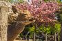 Osaka to Nara Day Trip with a Local – Private & Personalized