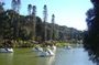 Tour Hortencias cinnamon Private lawn - 1-4 Pax by Fatur Turismo