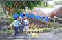 Dalat: Waterfall - Real Go-Kart - Langbiang Mountain (Full-Day)
