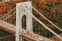 New York Fall Foliage Helicopter Tour from New Jersey