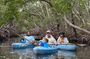 Mangrove Forest Tour with Photo Shoot