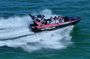 Noosa Ocean Adventures: Dolphins