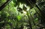 Discover Praslin Island Tour - 04 hours