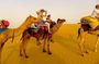 Visit to National Camel Research Center