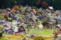 Private Full-Day Tour to Takayama and Shirakawa from Nagoya