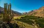 Elqui Valley Tour with Pisco Tasting and Lunch