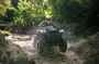 ATV Adventure & Xplor Park Combo with Transportation