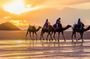 Atlas Mountain & 3 Valleys Guided Tour from Marrakech