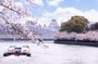 Osaka Walking Tour: Osaka Castle & River Cruise from Osaka/Kyoto
