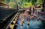 Ubud Hidden Wonders A Day in Balis Heart