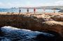 Best of Aruba by Bus