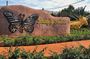 Life on the Lake & Nature's Beauty: Mechrey & Butterfly Paradise