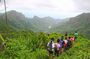 Ecological Walk from Serra Malagueta to Ribeira Principal