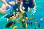 Bali : Buggy adventure with meal and water tubing experience