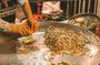 Siem Reap 3-Hour Sightseeing and Street Food Tour