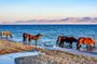 Private 11 Days Trip at Kyrgyzstan, Exclusive Guide and Driver