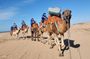 Essaouira 1-Hour Discovery Ride on a Camedary
