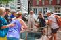 Hamilton Live! Walking Tour in lower Manhattan