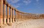 Jerash and Ajloun Castle Full day Tour