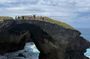 Arecibo Cave Cliffside Waterfall Adventure
