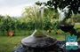 Full Day Private Wine Tour in Kakheti Region with Lunch and 3 Wine Tastings
