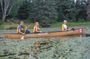 3 Day Algonquin Park Canoe Trip - Moose & Beaver Safari