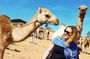 Private Daraw Camel Market Half-Day Tour from Aswan