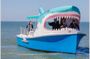 Shark Boat Destin Dolphin Watch and Sunset Cruise