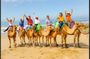 Authentic Private Tangier Tour from Estepona Camel Ride & Lunch