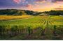 Full Day Grape Escape to Alsace wine route via Strassbourg