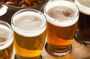 Craft Beer Tour: Try 8 Czech Beers, Brewery and Beer Garden