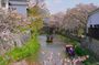 From Nagoya: Castles and Canals in Hikone and Omi Hachiman