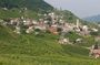 Prosecco region cellar visit, wine tasting, Palladian Villa, medieval village