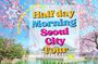Small Group Half day morning Seoul city tour