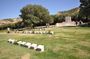 Private Gallipoli Full-Day Trip from Istanbul