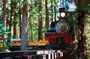 Redwood Forest Steam Train and Santa Cruz Coast Day Tour