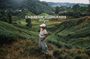 Cameron Highland Day Tour From Kuala Lumpur By Group