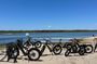 Electric Bike Tours on Martha Vineyard