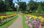 Kandy City Tour from Dambulla