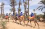 Agafay Desert Experience Camel Trek, Quad Ride & Dinner Show
