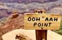 Private Grand Canyon Hike and Sightseeing Tour