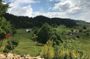 One day trip Bear Sanctuary, Castle Bran, Rasnov Fortress