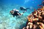2-Hour Private Scuba Experience in Aqaba